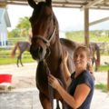Mel’s Equestrian Services LLC - Horse Massage - Vero Beach, FL