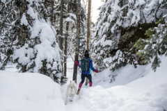 Request Quote: Mark James Dunn Pet Photography - Sharon, MA