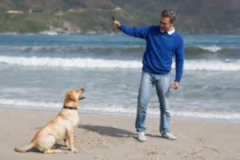 Request Quote: Space Coast Private Dog Trainer - Merritt Island, FL