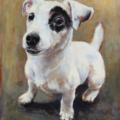Holly Hunter Berry - Pet Portraits - Nationwide