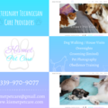 Kismet Pet Sitting Services and Pet Care - Milford, MA