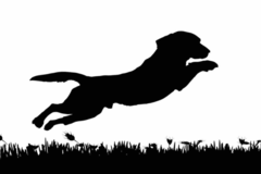 Request Quote: Poop N Scoop - Pet Waste Removal Services - Highland Park, IL