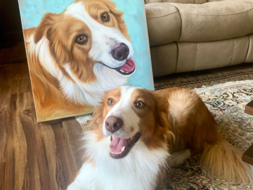 Border Collie mix with painting