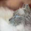 Kim Wilder Hinson - Pet Portrait Artist - Nationwide