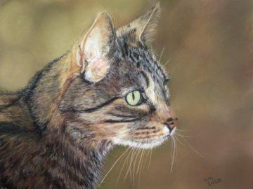 Pastel painting of a tabby cat