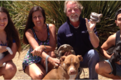 Request Quote: Dr Kevins Ark - Holistic Veterinary Care for Pets - Nationwide