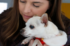 Request Quote: AnneMarie Hunter Pet Photography - Overland Park, KS