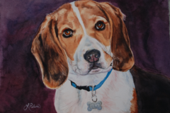 Request Quote: Polished Pet Portraits by Linda - Phoenix, AZ