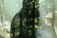 Request Quote: Karen’s K9 Way Pet Sitting Services - Peekskill, NY