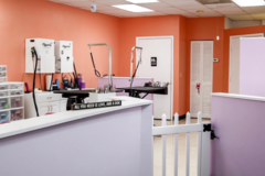 Request Quote: Pet Styles by Jennifer - Pet Grooming Services - Dunedin, FL