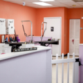 Pet Styles by Jennifer - Pet Grooming Services - Dunedin, FL