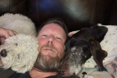 Request Quote: Responsible Adult Former Vet Tech - Pet Sitter  - Arvada, CO