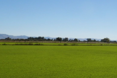 Request Quote: Clark Ranch Horse Hotel - Horse Boarders - Fallon, NV