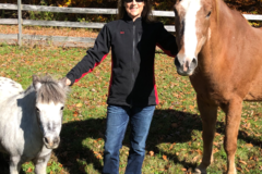Request Quote: Connecticut Equine Therapy, LLC - Naugatuck, CT