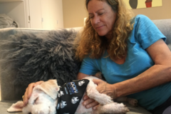 Request Quote: Marji Pearson, Animal Reiki Healing - Mill Valley, CA - Nationwide