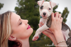 Request Quote: Bigger Picture Images of Phoenix - Pet Photographer - Phoenix, AZ