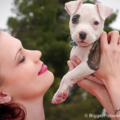 Bigger Picture Images of Phoenix - Pet Photographer - Phoenix, AZ