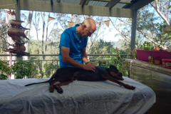 Request Quote: The Relaxed Dog - Canine Massage - Central Coast, NSW