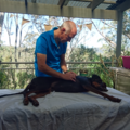 The Relaxed Dog - Canine Massage - Central Coast, NSW