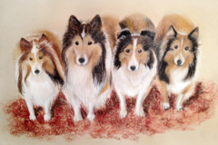 Request Quote: Naugatuck CT Pet Portraits by Judy  - Nationwide