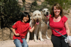 Request Quote: Doggie Steps Dog Training LLC - In Home Canine Training  - Chandler, AZ