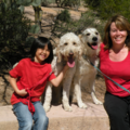 Doggie Steps Dog Training LLC - In Home Canine Training  - Chandler, AZ