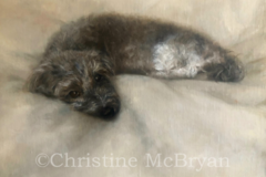 Request Quote: Christine McBryan - Pet Portrait Artist - Nationwide