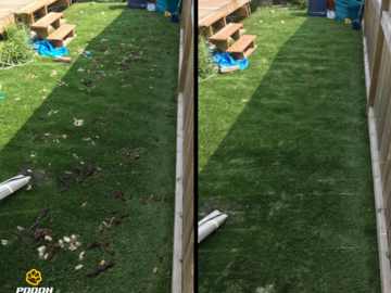 Summer service before and after picture