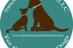 Request Quote: Smoochie Poochies - In Home Dog Sitting Services - Boston, MA