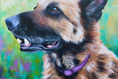 Request Quote: Soul Dance Art - Boulder CO Pet Portrait Artist  - Nationwide