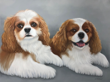 Pastel Portrait of Cavalier King Charles Spaniels by artist Heather A. Mitchell.. 18" x 24" unframed.
