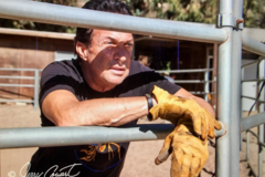 Request Quote: Uncle Jeff's Pet Sitting and More - Canoga Park, CA
