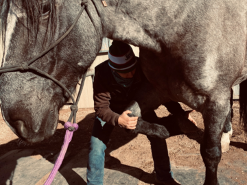 Equine extremity assessment