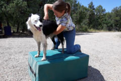 Request Quote: Klix Animal Chiropractic - Telluride, CO