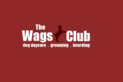 Request Quote: The Wags Club - Dog Daycare and Boarding Spa - Los Angeles, CA