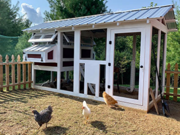 6'x12' American Coop with chicken run door assembled and painted by customer in NC