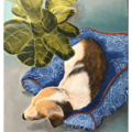 Susan Devitt - Woodfin North Carolina Pet Portraits  - Nationwide