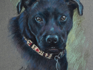 Portrait of Piper, pastel, 10 x 8"