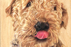 Request Quote: Doggywood - Pet Portrait Artist - Nationwide