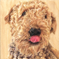 Doggywood - Pet Portrait Artist - Nationwide