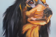 Request Quote: Sue Steiner Pet and Horse Portrait Oil Paintings - Nationwide
