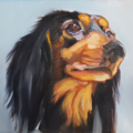 Sue Steiner Pet and Horse Portrait Oil Paintings - Nationwide