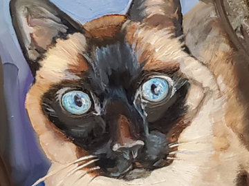 Siamese cat on wood pet portrait 