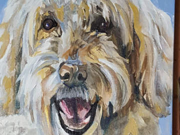 doodle dog portrait