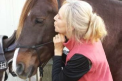 Request Quote: Winding Creek Animal Reiki and Massage - Davidson, NC