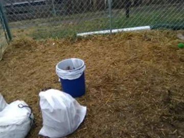 CLEAN KENNEL