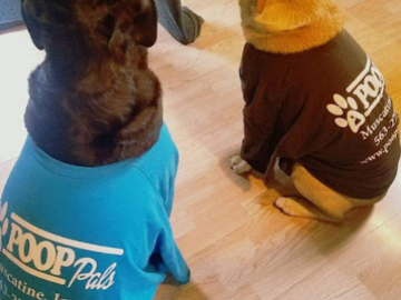 POOP DOGS