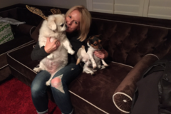 Request Quote: Tracie’s In Home Pet Sitting Service and Dog Walking - Costa Mesa, CA
