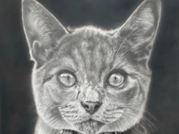 Sampson | Graphite on Drafting Film | 12x18