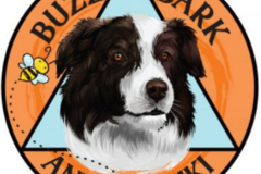 Request Quote: Buzz and Bark Animal Reiki - Edinboro, PA
